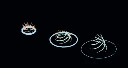 VFX Impact Burst Pro — shared collection artwork, not an individual asset render