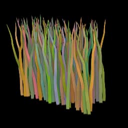 Curve Info — source preview