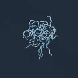 T - Field Tracer — source preview